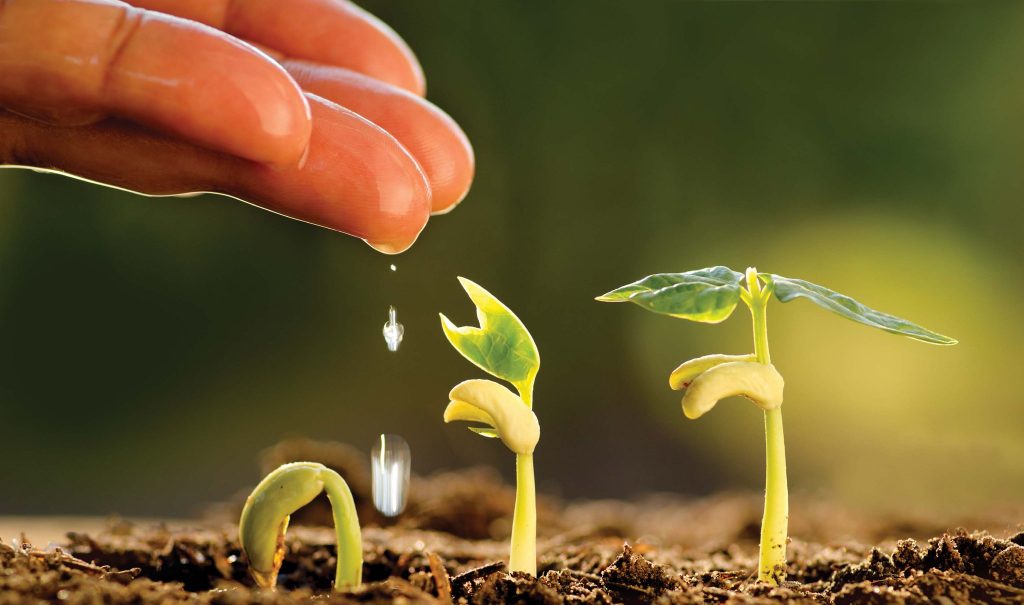 improving soil and water