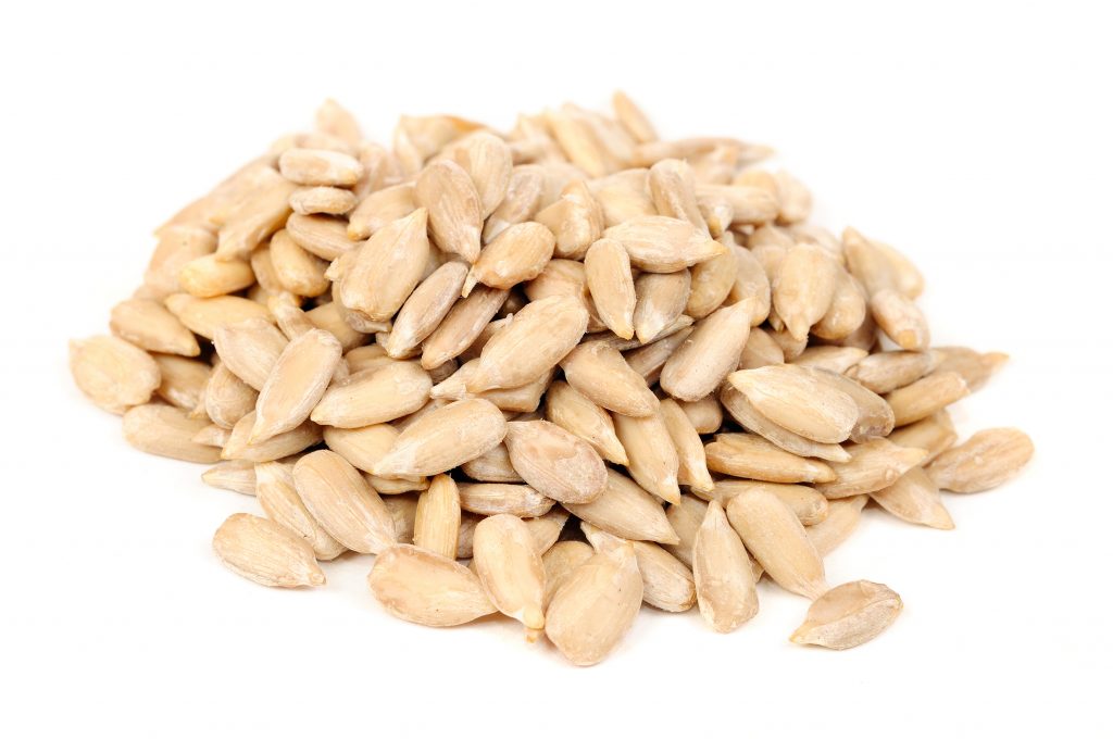 What’s next beyond soy, pea, and wheat for plant-based meat?