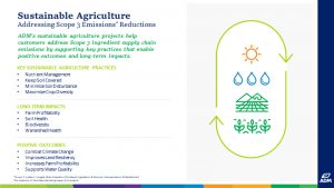 Scope 3 - Sustainable Agriculture