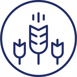 NATURE'S GOLD Bake at Home