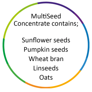 2023 Britains Best Loaf by ADM - Fibre Focus